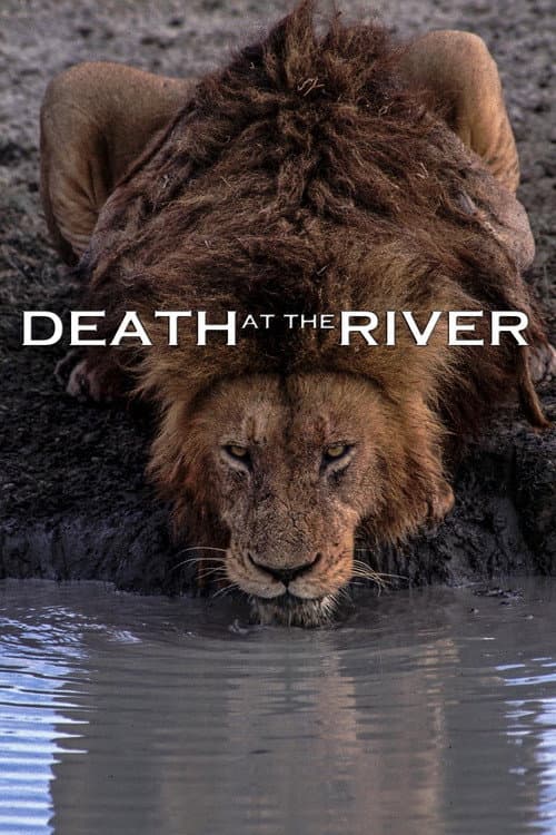 Poster for Death at the River
