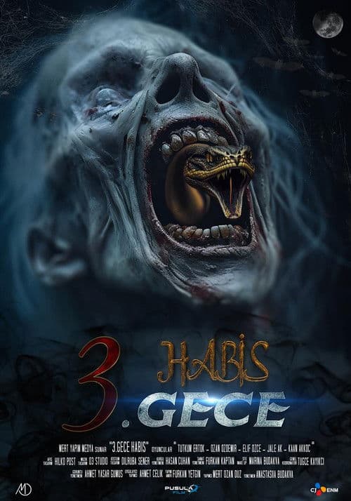 Poster for 3. Gece Habis