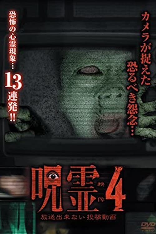 Poster for Submitted Ghost Videos That Cannot be Broadcast 4
