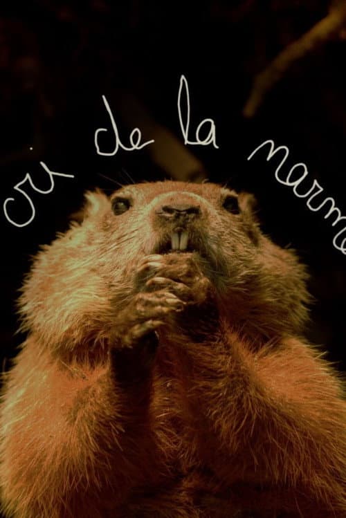 Poster for Le cri de la marmotte