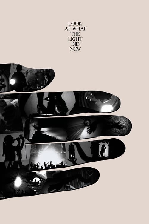 Poster for Look at What the Light Did Now