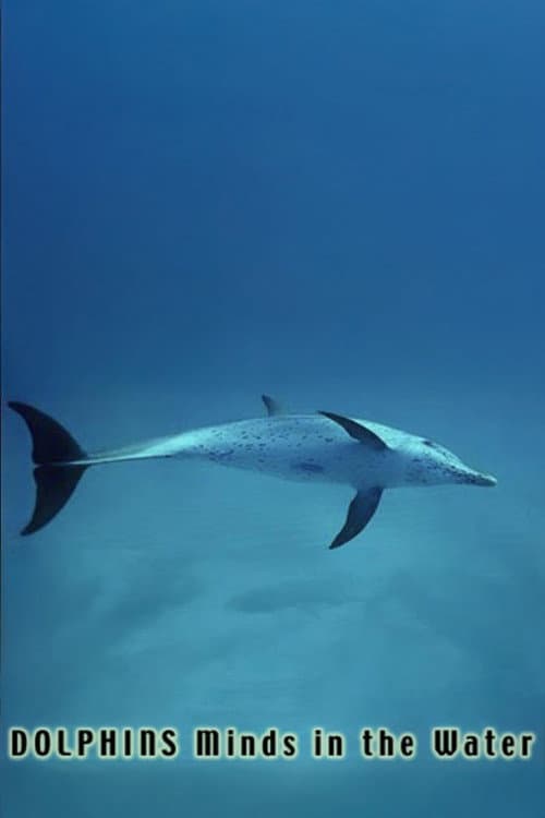 Poster for Dolphins: Minds in the Water