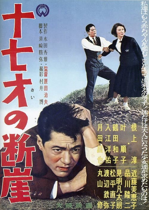 Poster for Jū nana-sai no dangai
