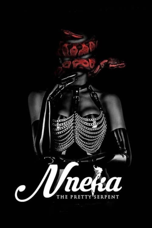 Poster for Nneka the Pretty Serpent