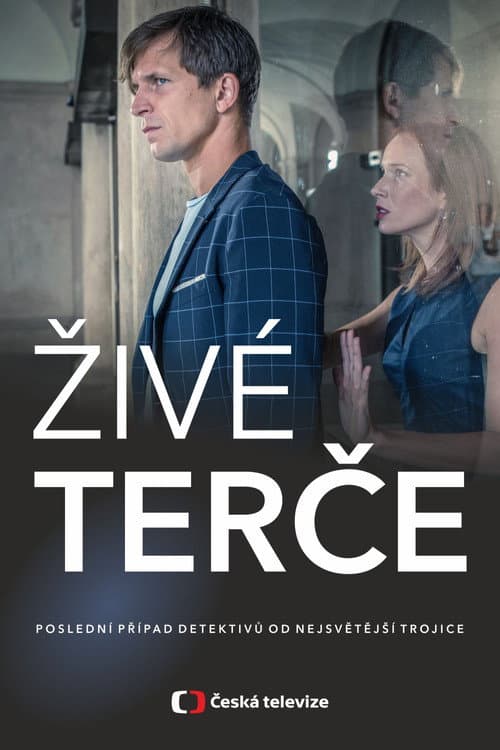 Poster for Živé terče