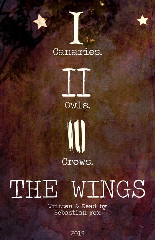Poster for The Wings