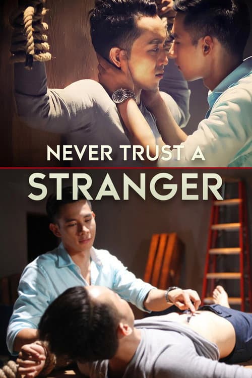 Poster for Never Trust a Stranger