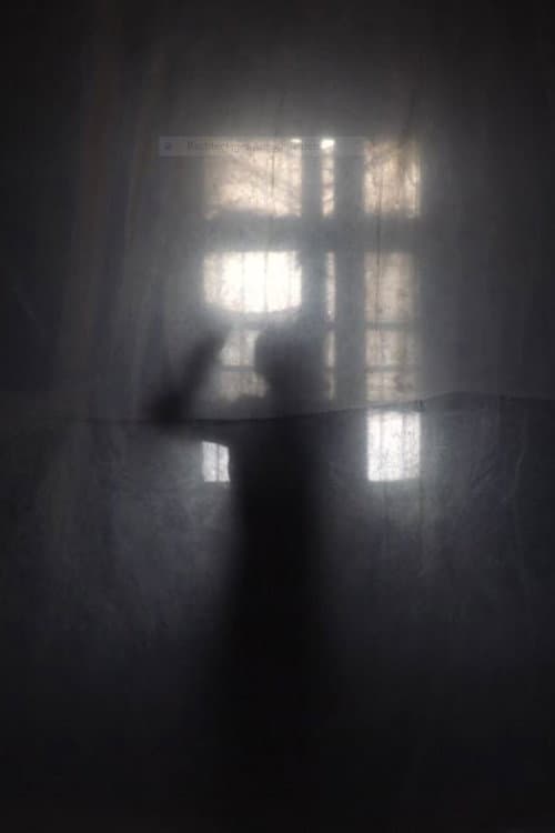 Poster for Self-Portrait: Window in 47KM