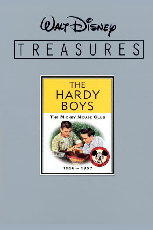 Poster for The Hardy Boys Unmasked