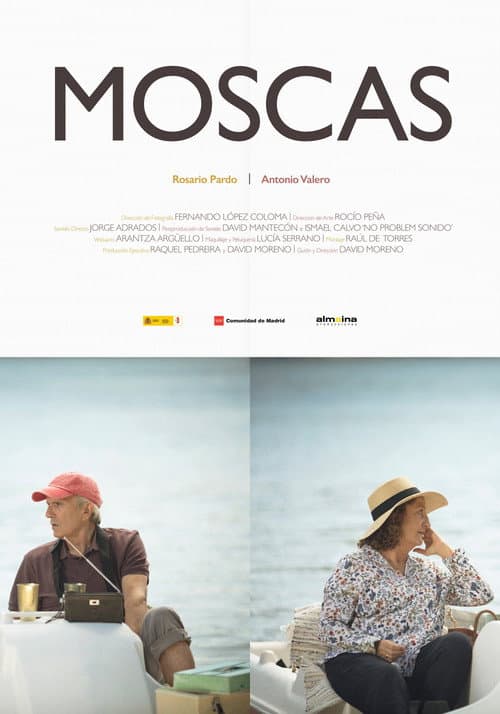 Poster for Flies