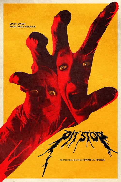 Poster for Pit Stop