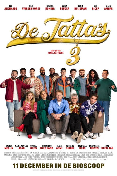Poster for The Gringo's 3