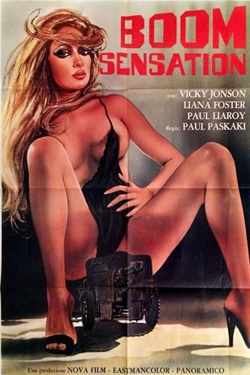 Poster for Boom Sensation