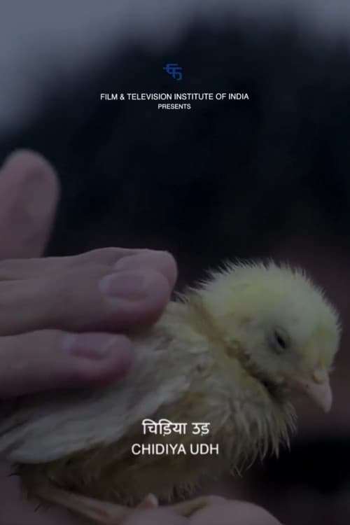 Poster for Fly, Bird
