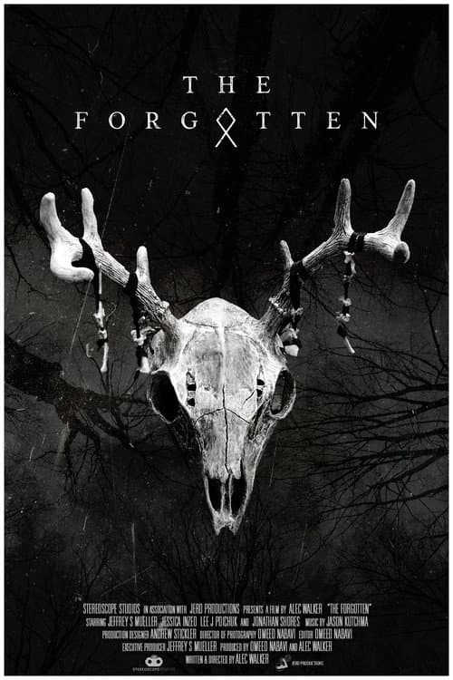 Poster for The Forgotten