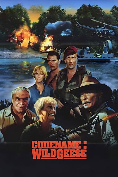 Poster for Code Name: Wild Geese