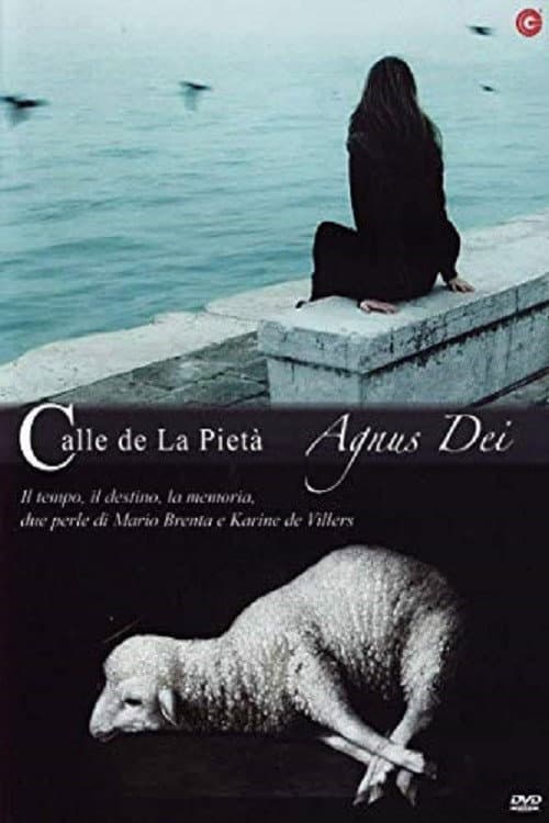 Постер до фільму «Calle de la pietà»