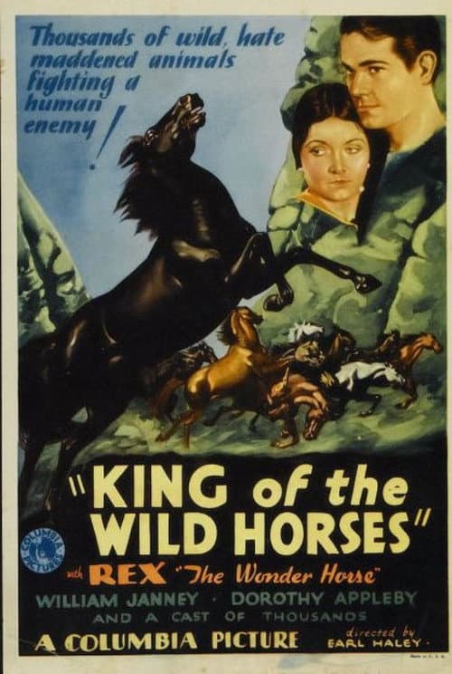 Постер до фільму «King of the Wild Horses»