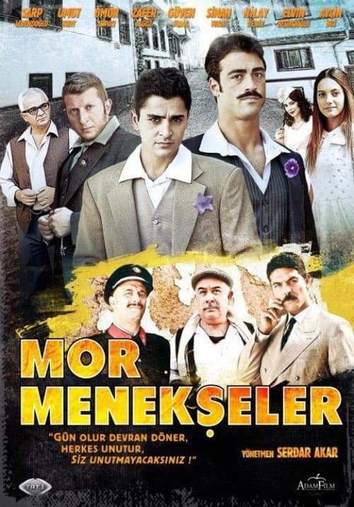Poster for Mor Menekşeler