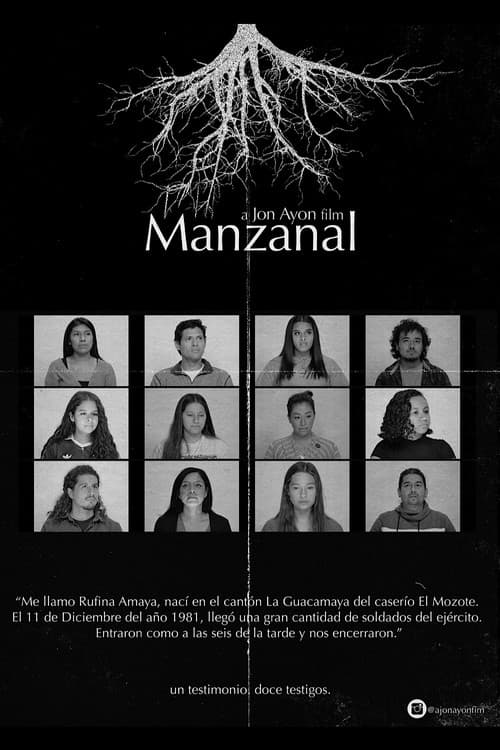 Poster for Manzanal