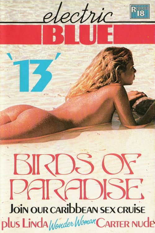 Poster for Electric Blue 13