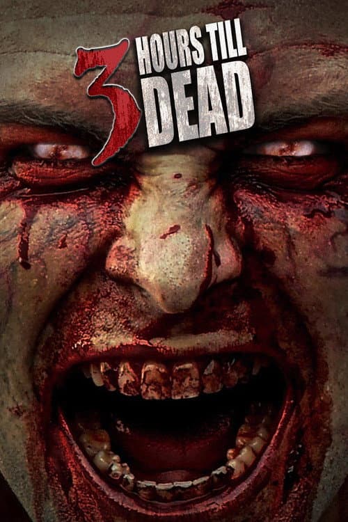Poster for 3 Hours till Dead