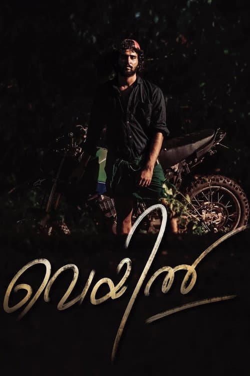 Poster for Veyil