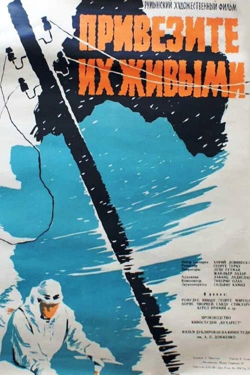 Poster for The Avalanche