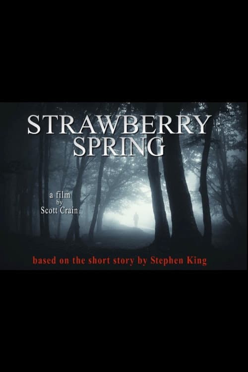 Poster for Strawberry Spring