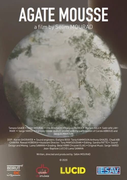 Poster for Moss Agate