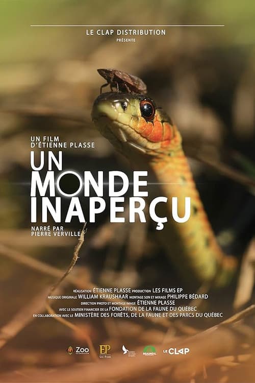 Poster for Un monde inaperçu
