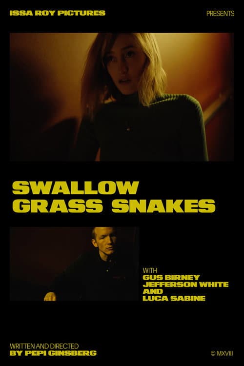 Poster for Swallow Grass Snakes