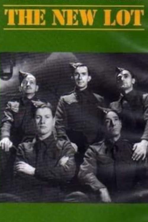 Poster for The New Lot