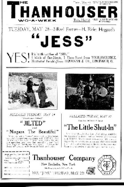 Poster for Jilted