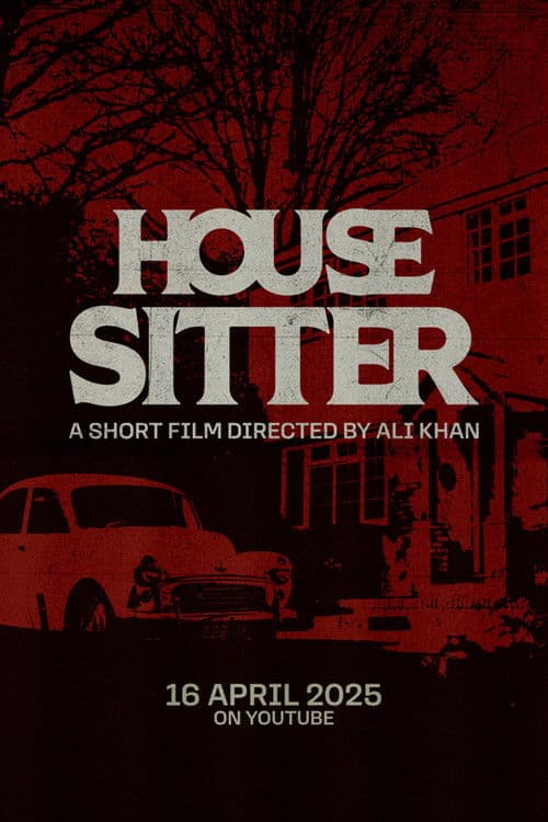 Poster for House Sitter