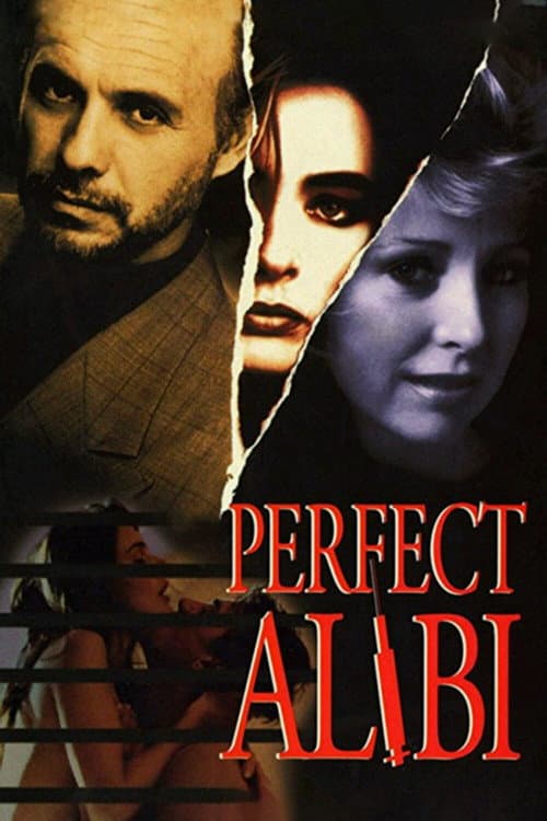 Poster for Perfect Alibi