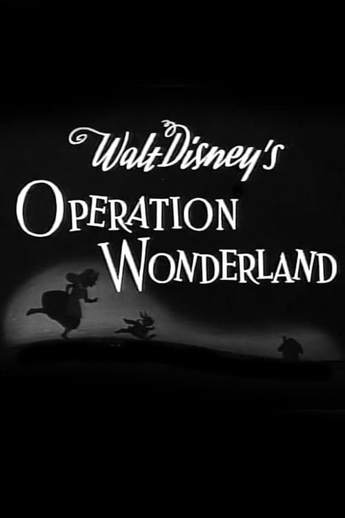 Poster for Operation Wonderland