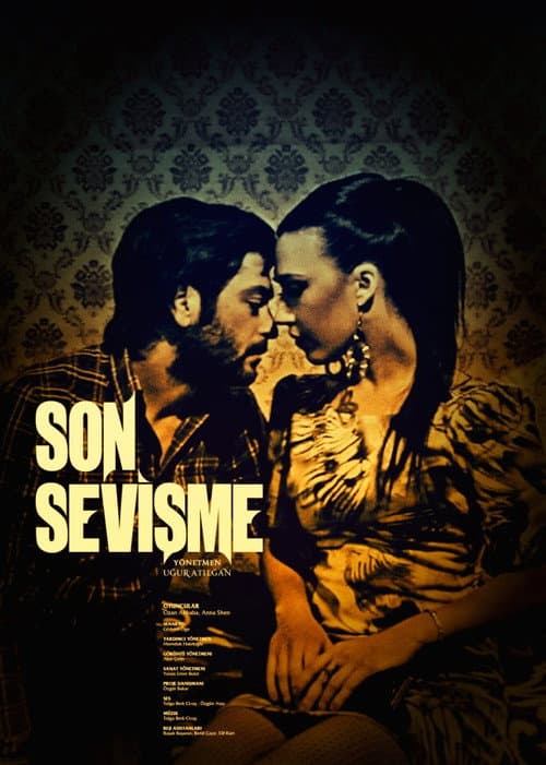 Poster for Son Sevişme