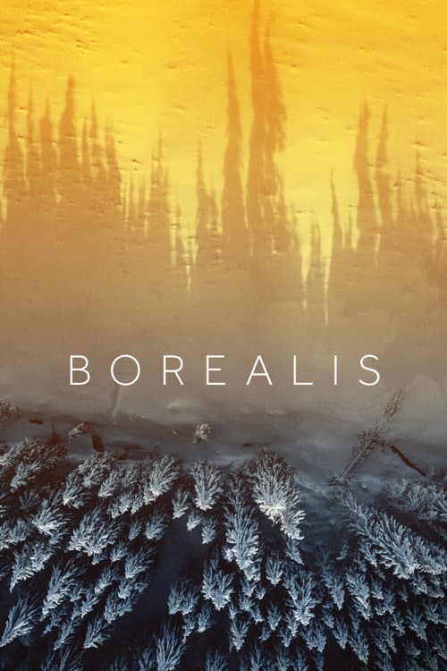 Poster for Borealis