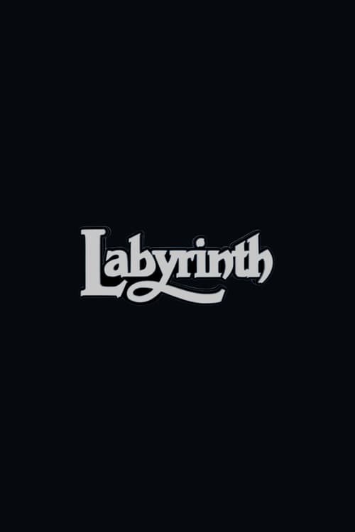 Poster for Labyrinth 2