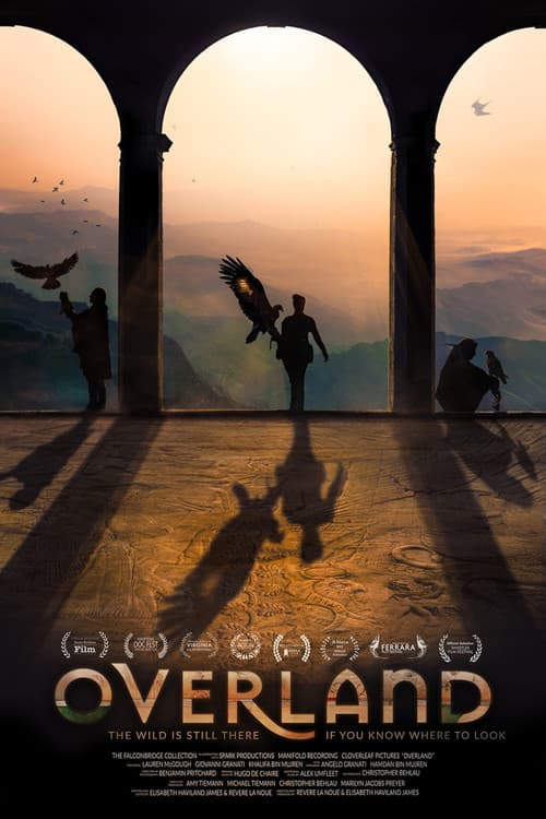 Poster for Overland