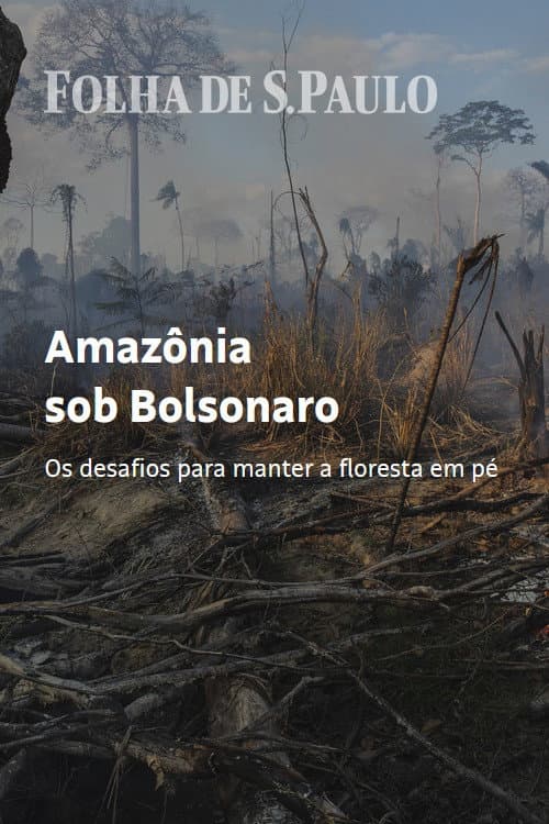 Poster for Amazon Under Bolsonaro