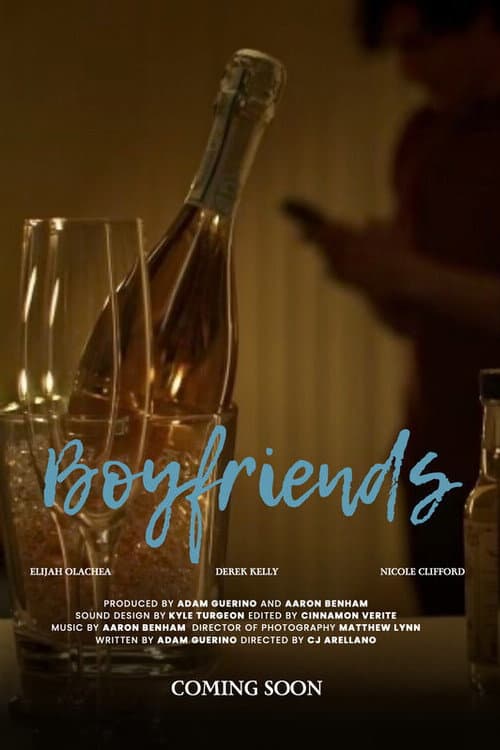 Poster for Boyfriends