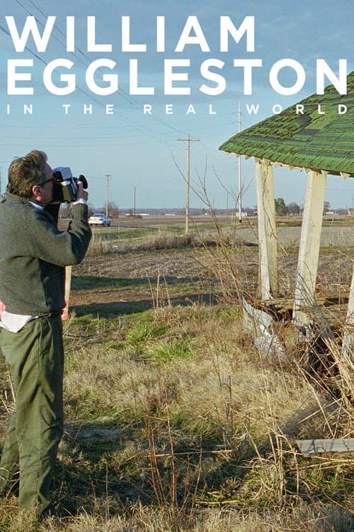 Poster for William Eggleston in the Real World