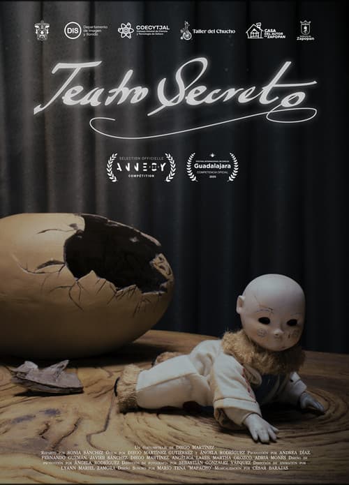 Poster for Secret Theatre