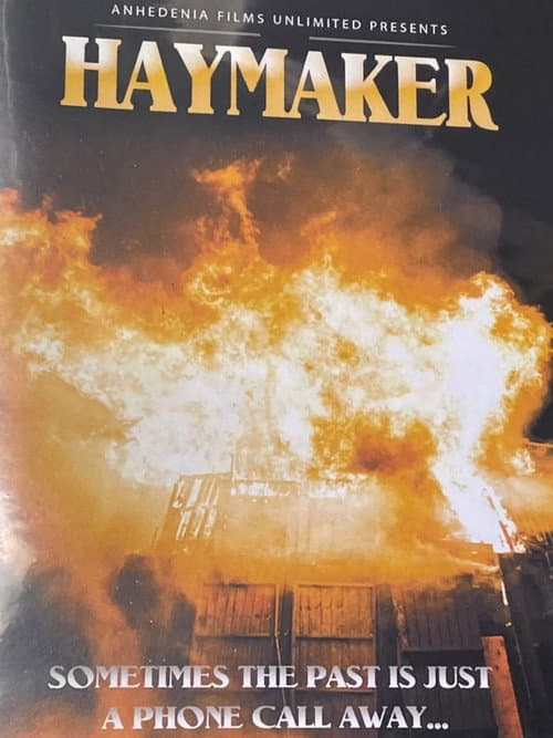 Poster for Haymaker