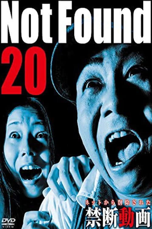 Постер до фільму «Not Found 20»