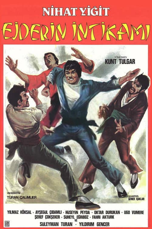 Poster for Ejderin İntikamı