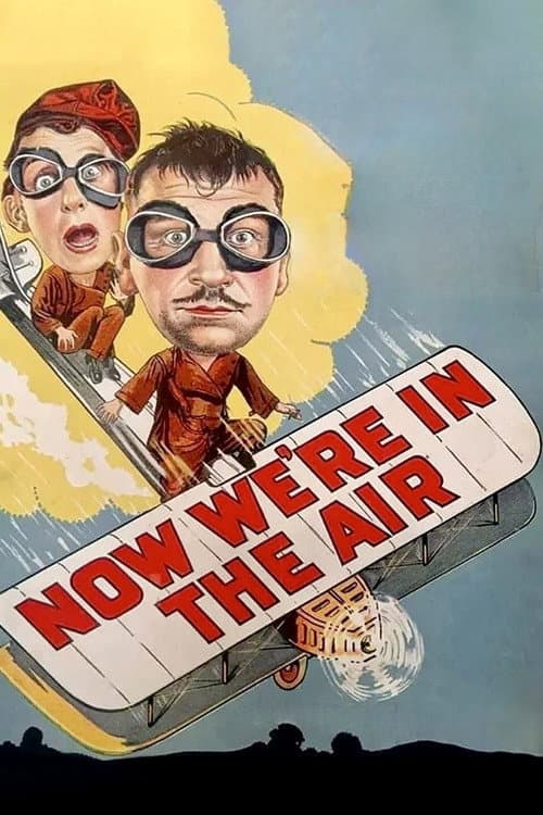 Poster for Now We're in the Air