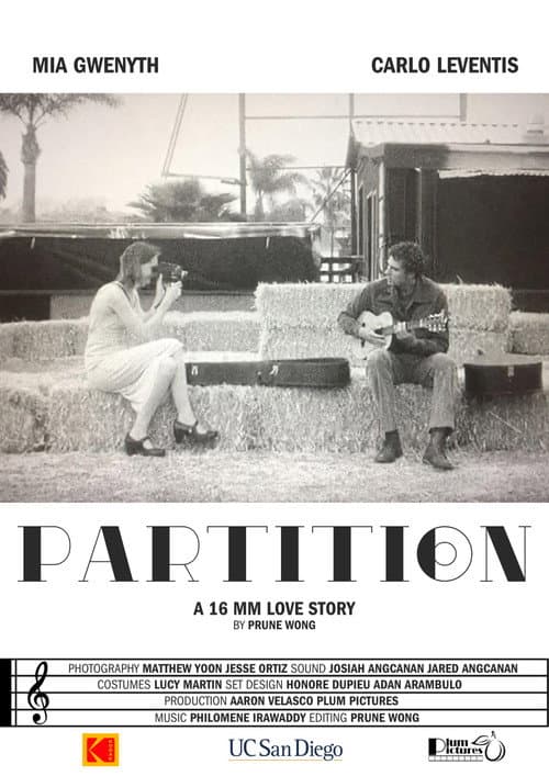 Poster for PARTITION